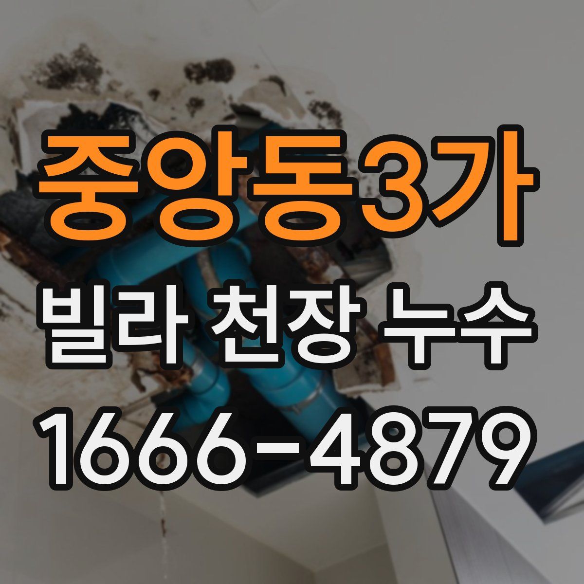 중앙동3가 빌라 천장 누수