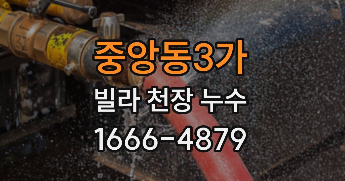 중앙동3가 빌라 천장 누수