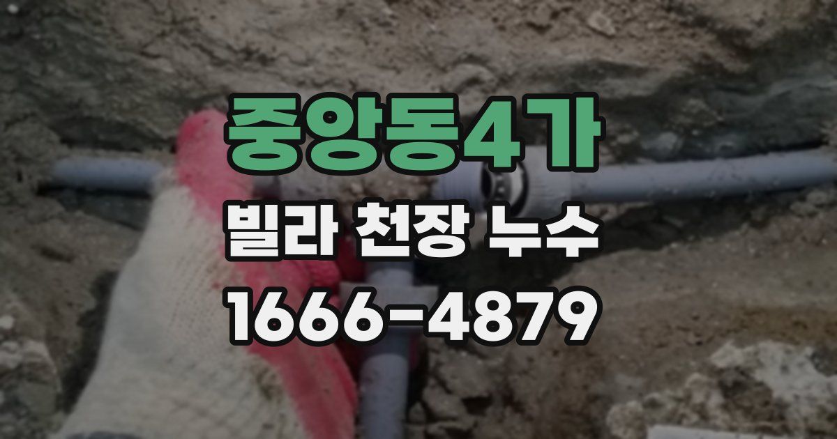 중앙동4가 빌라 천장 누수