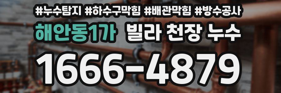 해안동1가 빌라 천장 누수
