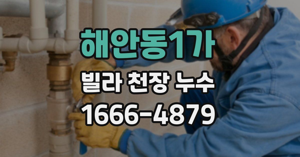 해안동1가 빌라 천장 누수