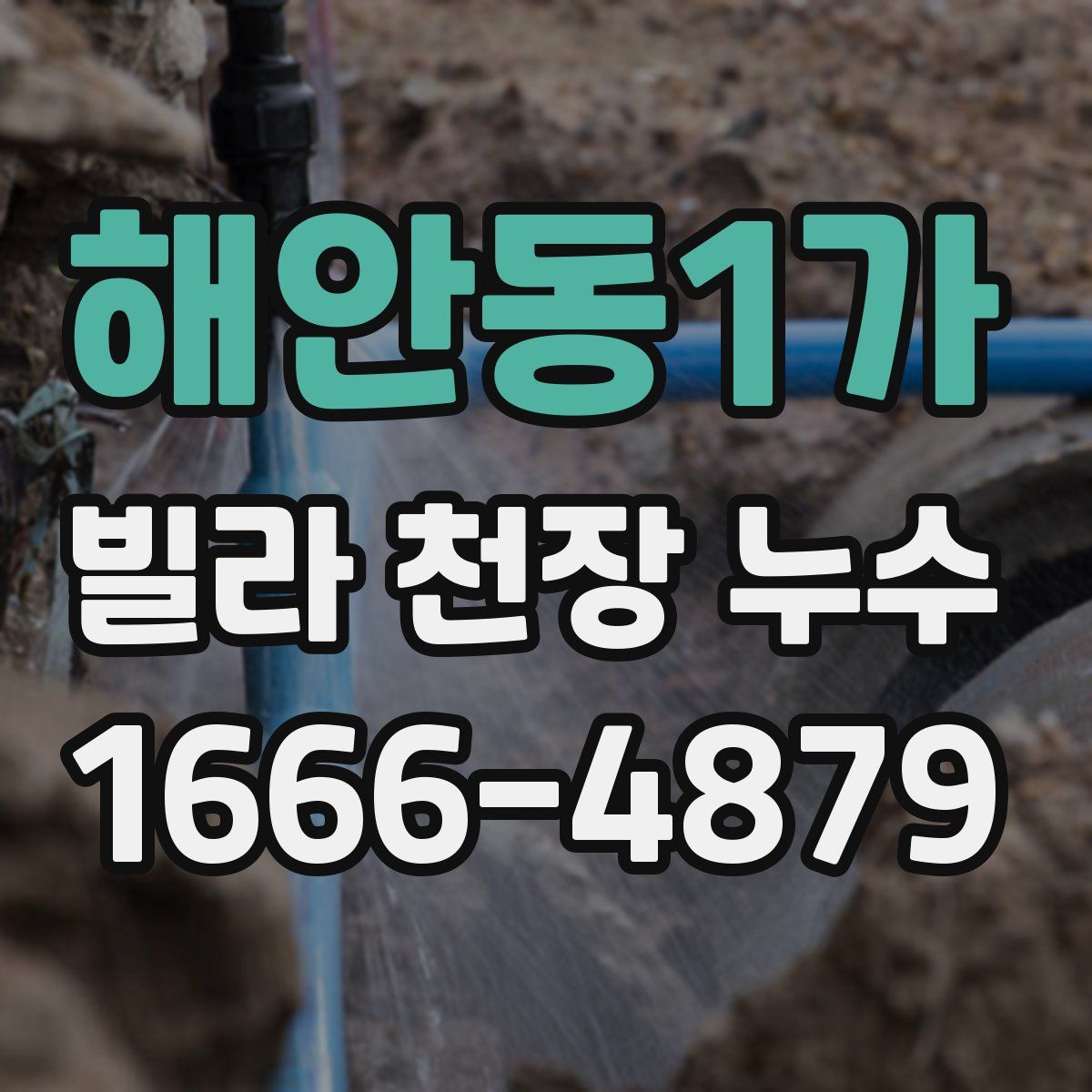 해안동1가 빌라 천장 누수