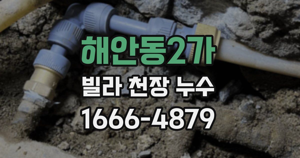 해안동2가 빌라 천장 누수