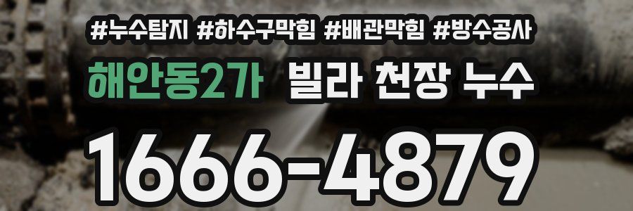 해안동2가 빌라 천장 누수
