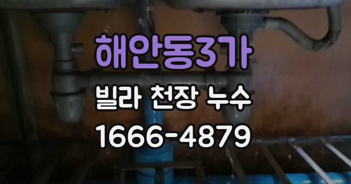 해안동3가 빌라 천장 누수