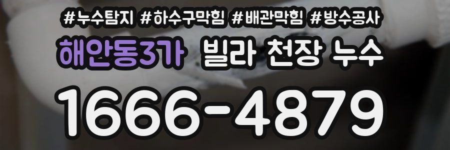 해안동3가 빌라 천장 누수