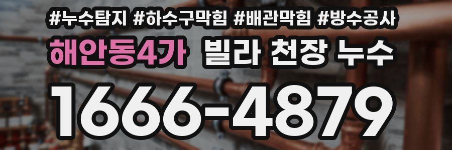 해안동4가 빌라 천장 누수