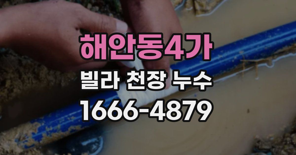 해안동4가 빌라 천장 누수