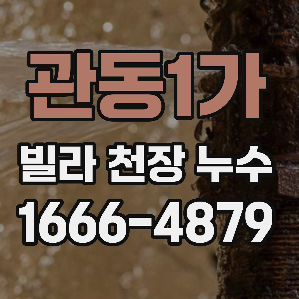관동1가 빌라 천장 누수