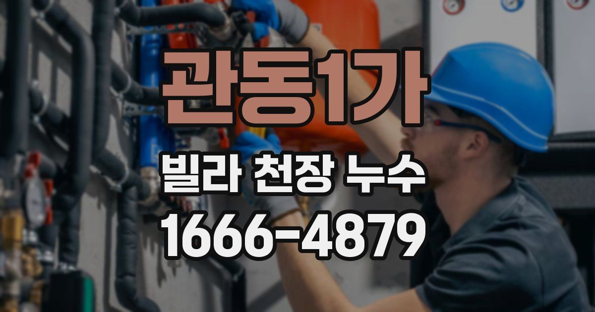 관동1가 빌라 천장 누수