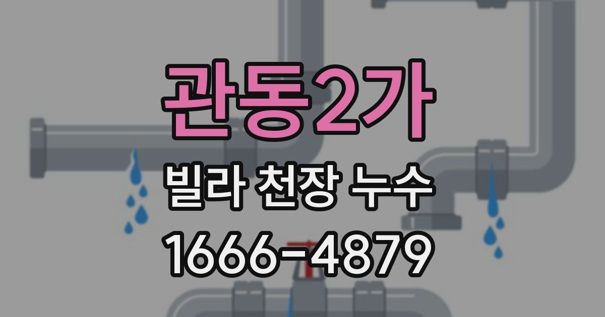 관동2가 빌라 천장 누수