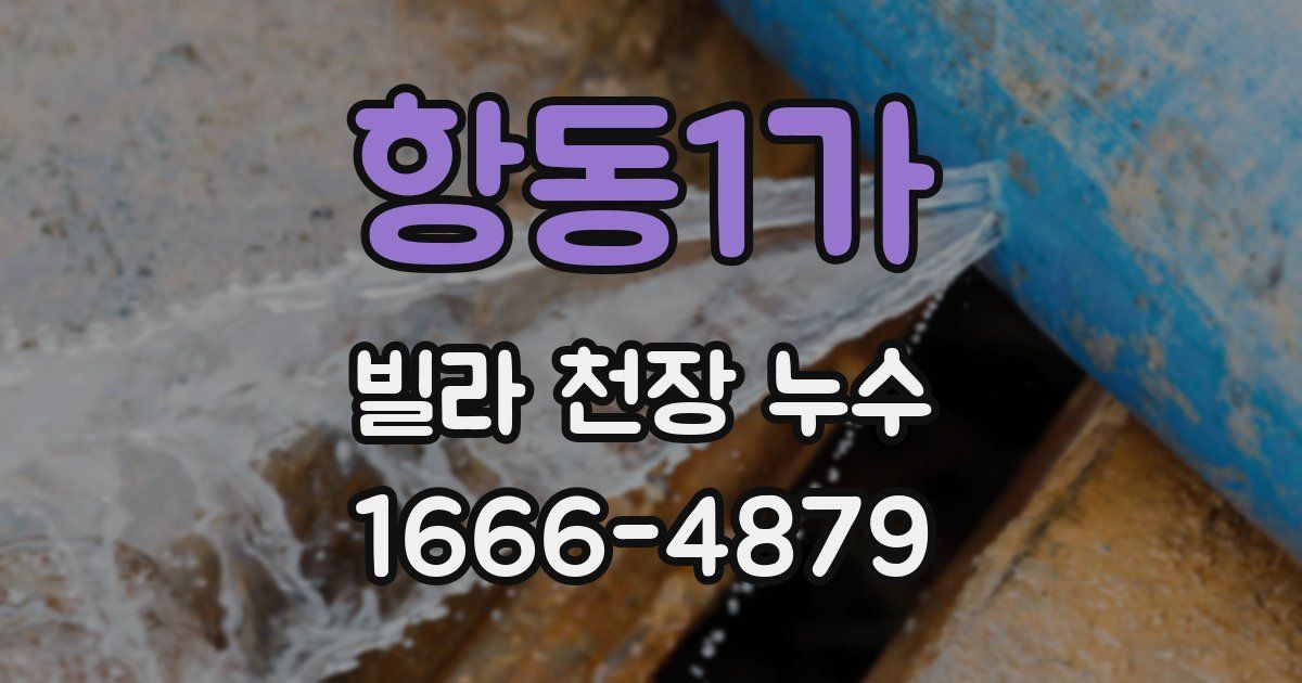 항동1가 빌라 천장 누수