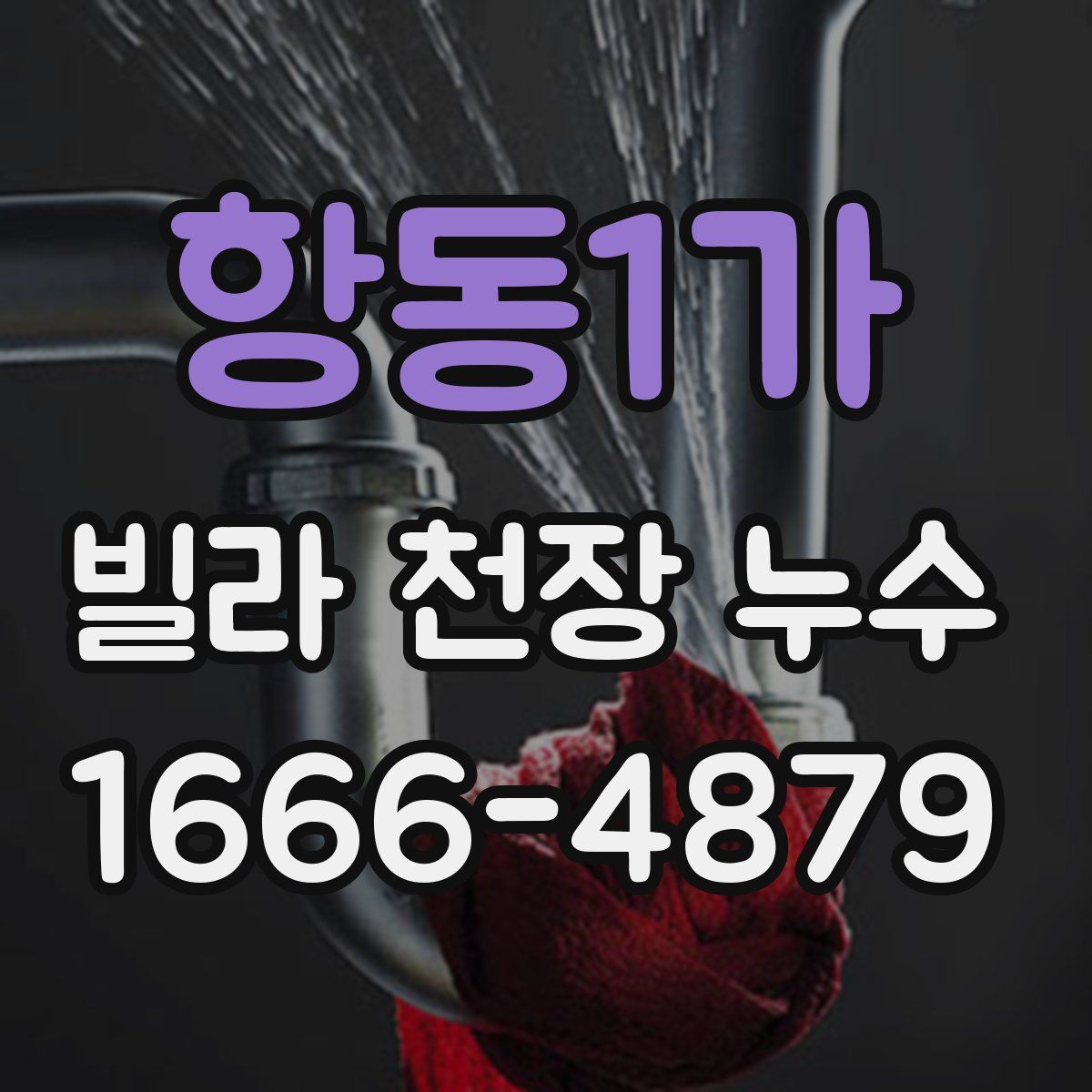 항동1가 빌라 천장 누수