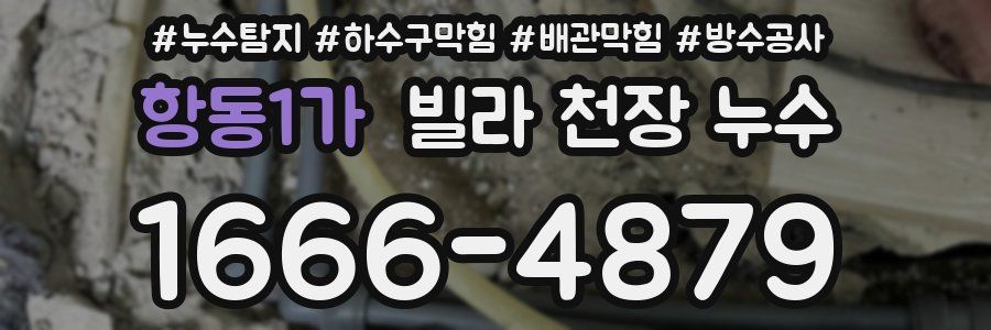 항동1가 빌라 천장 누수