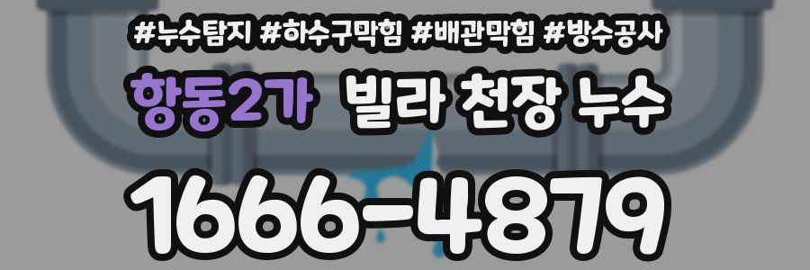 항동2가 빌라 천장 누수