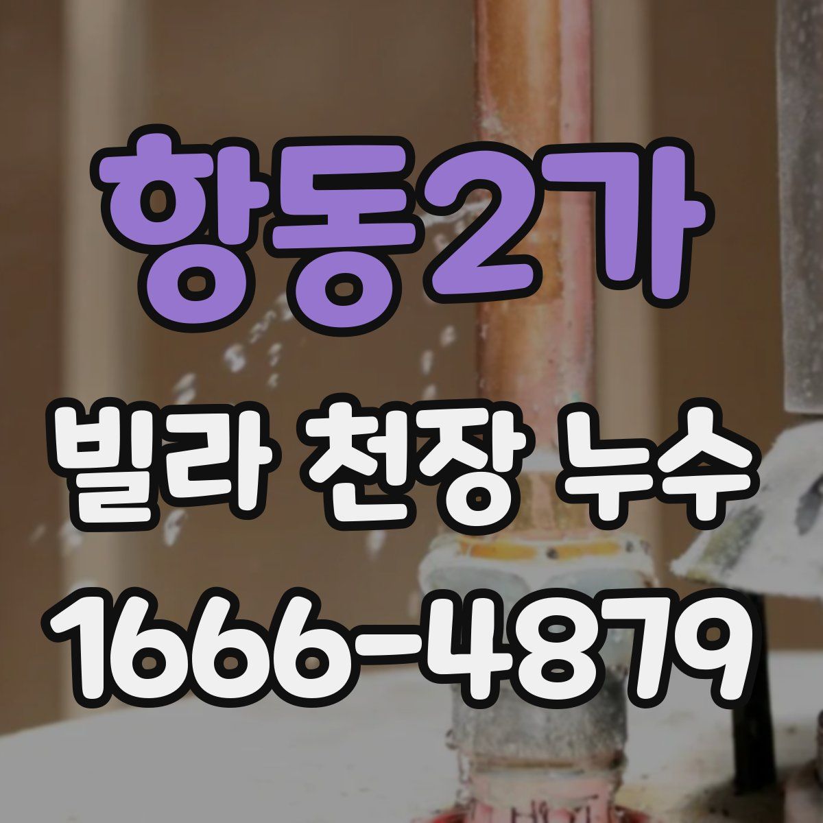항동2가 빌라 천장 누수