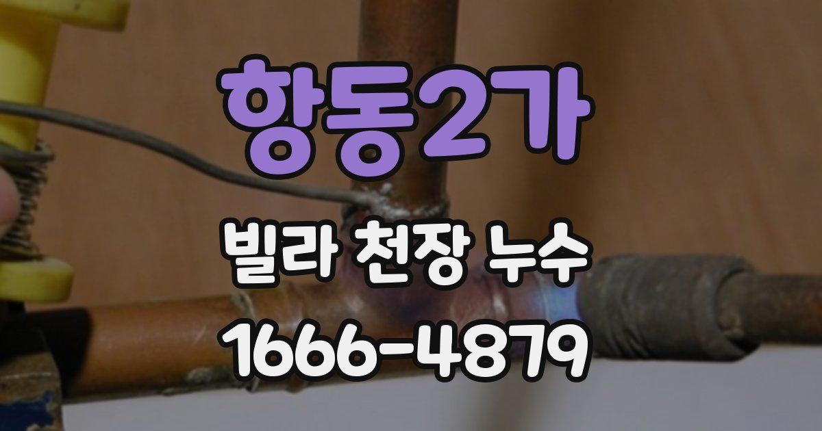 항동2가 빌라 천장 누수