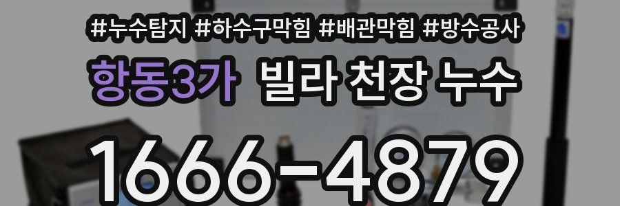 항동3가 빌라 천장 누수