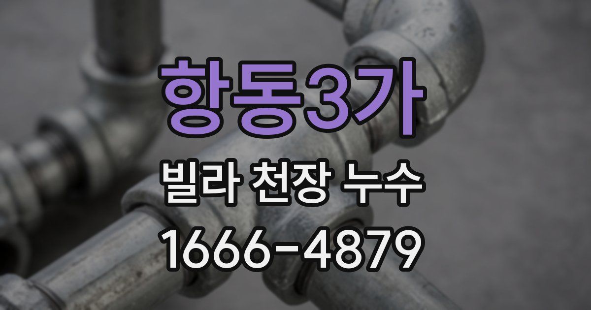 항동3가 빌라 천장 누수