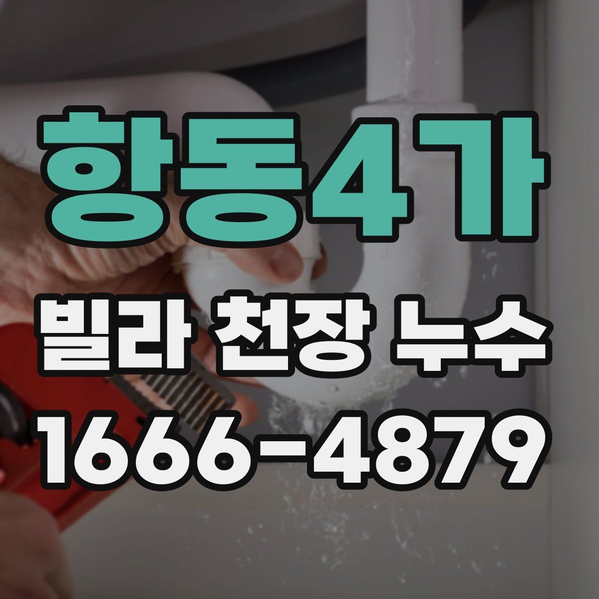 항동4가 빌라 천장 누수