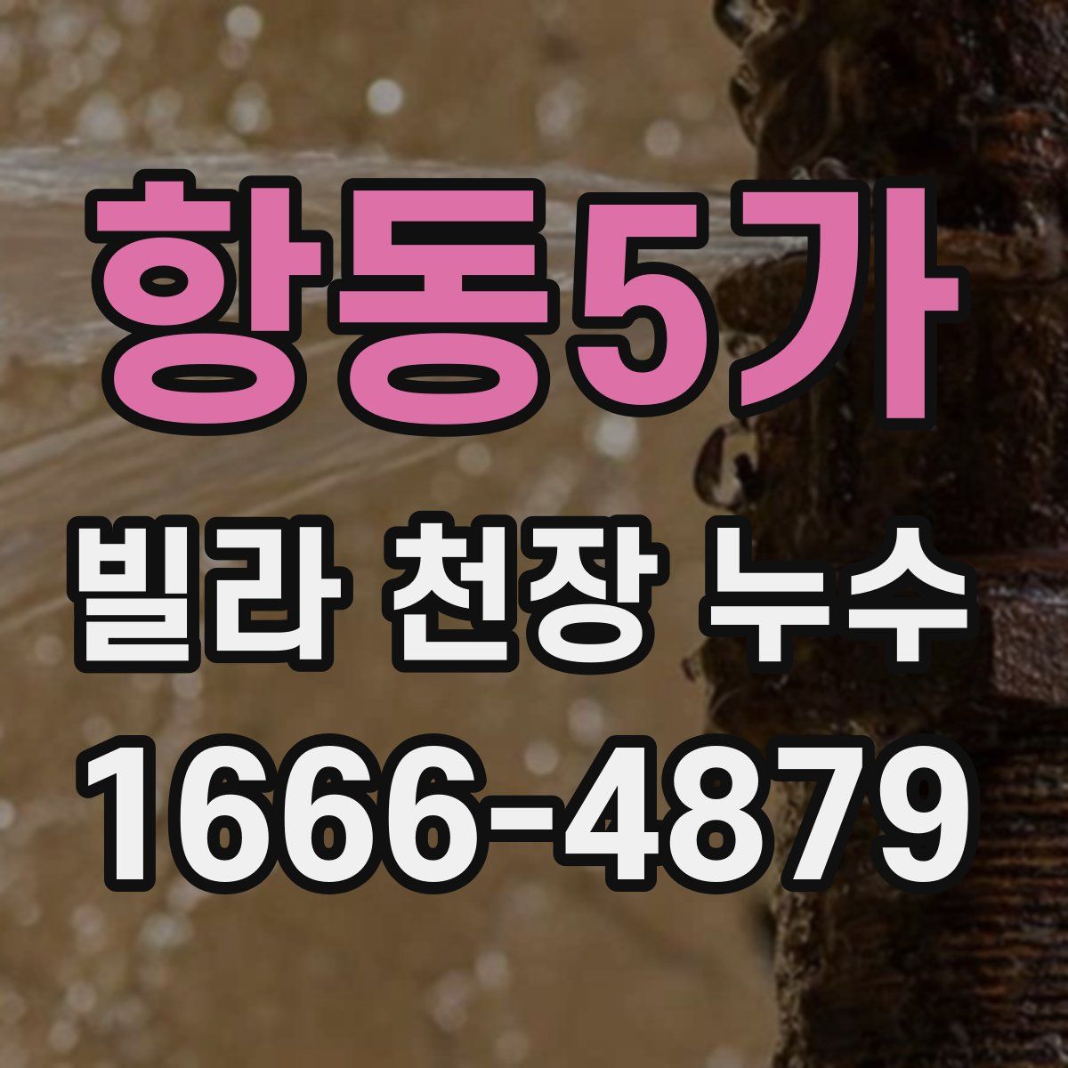 항동5가 빌라 천장 누수