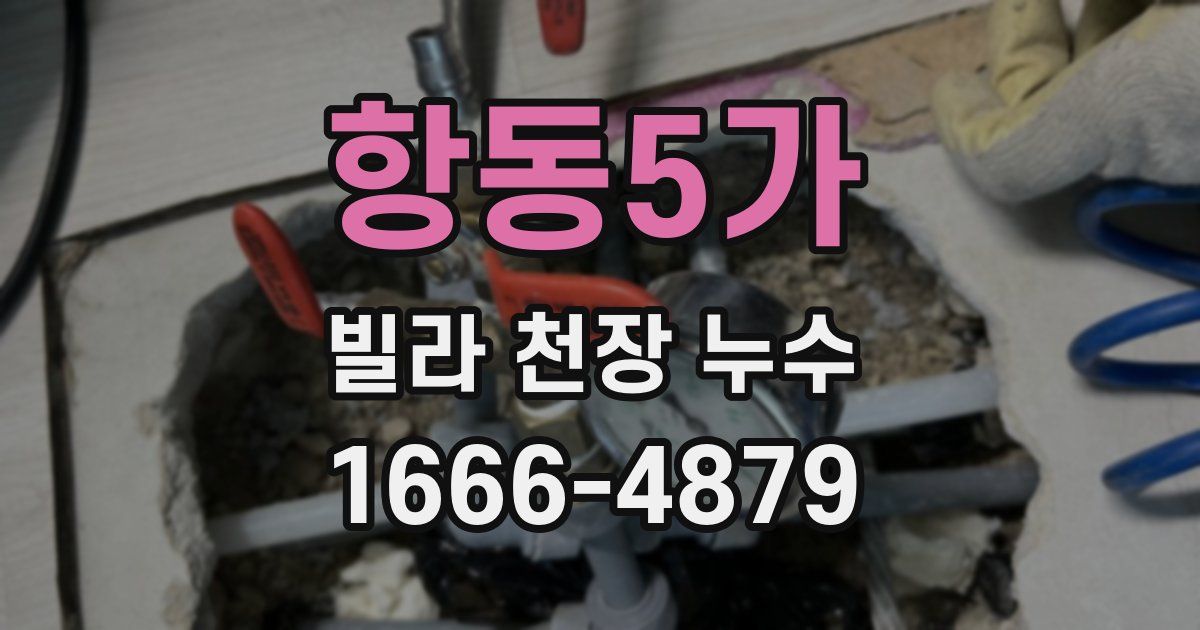 항동5가 빌라 천장 누수