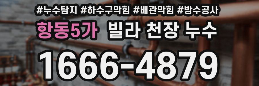 항동5가 빌라 천장 누수