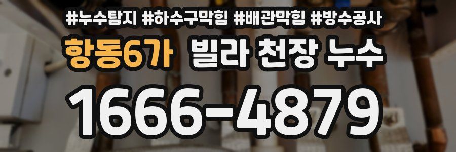 항동6가 빌라 천장 누수