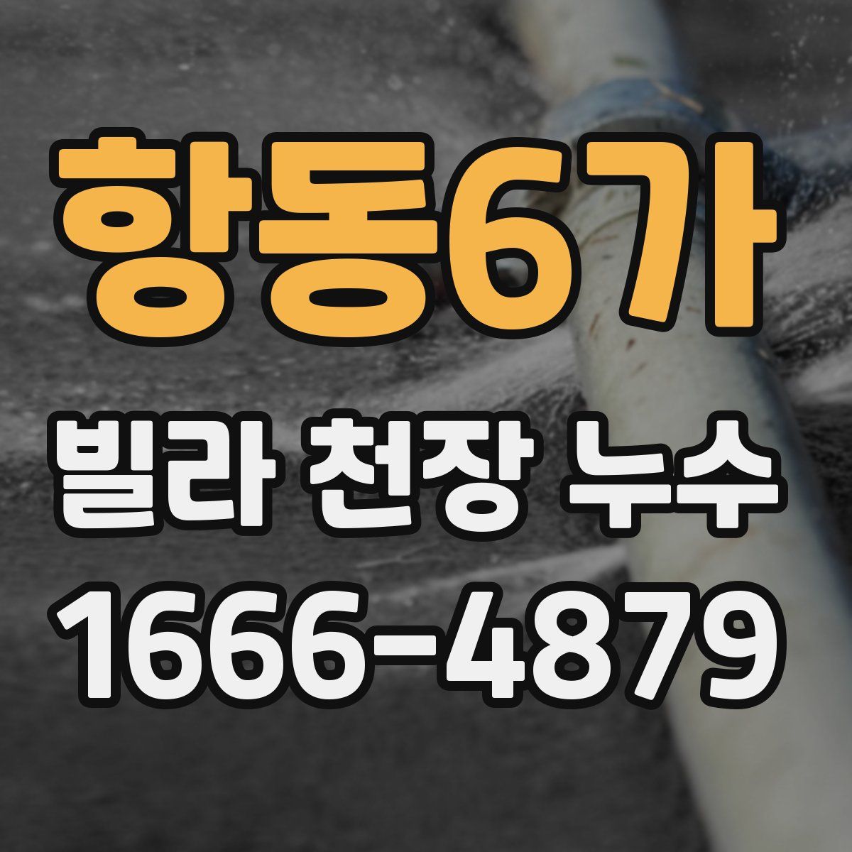 항동6가 빌라 천장 누수