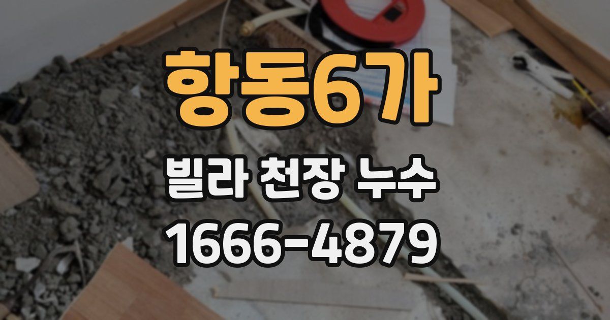 항동6가 빌라 천장 누수