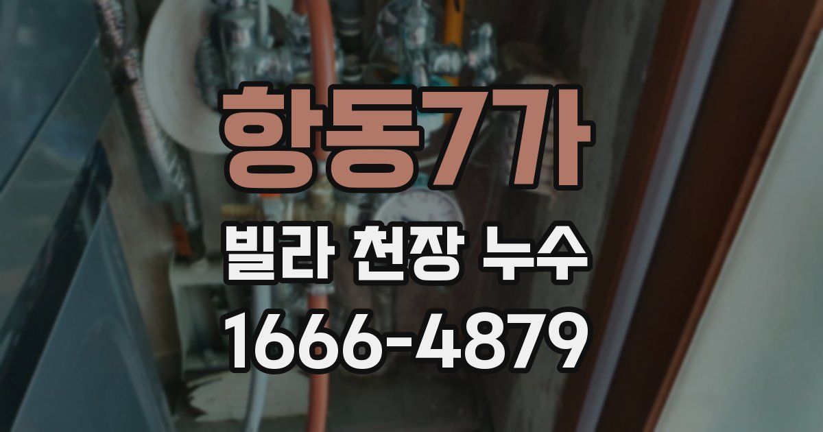 항동7가 빌라 천장 누수