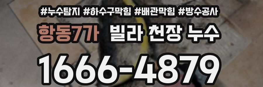 항동7가 빌라 천장 누수