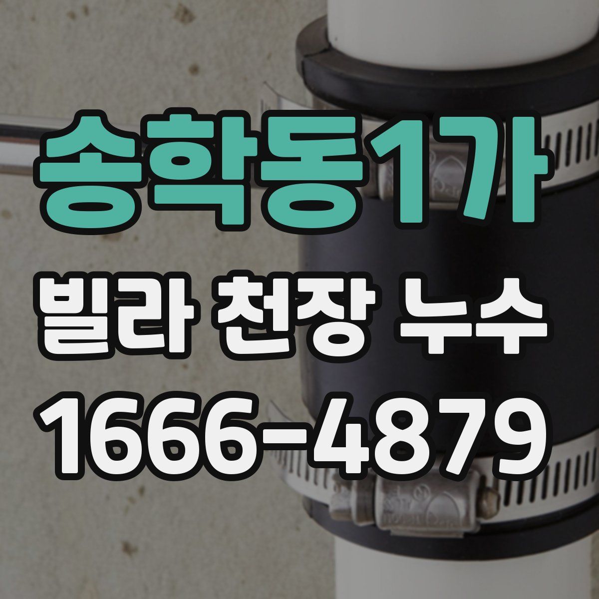 송학동1가 빌라 천장 누수