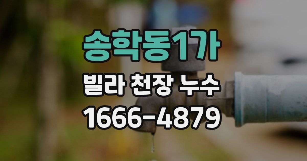 송학동1가 빌라 천장 누수