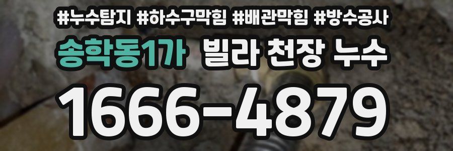 송학동1가 빌라 천장 누수