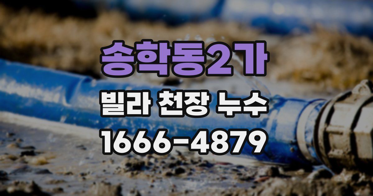 송학동2가 빌라 천장 누수