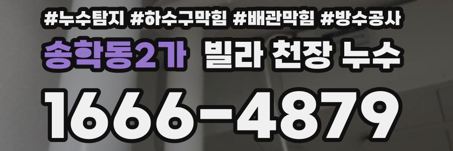 송학동2가 빌라 천장 누수