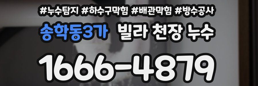 송학동3가 빌라 천장 누수