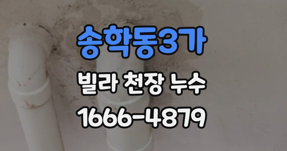 송학동3가 빌라 천장 누수