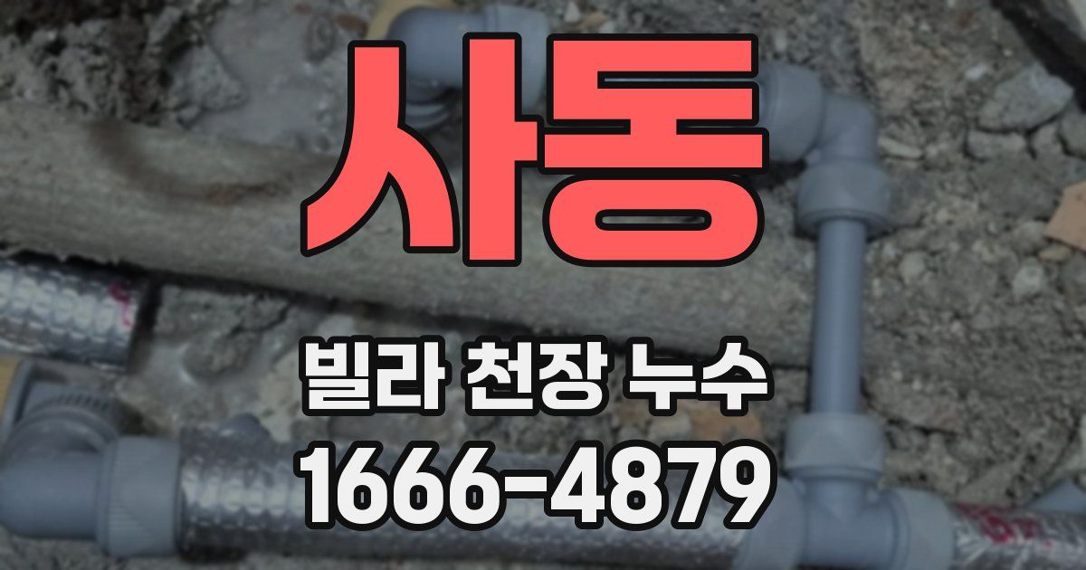 사동 빌라 천장 누수