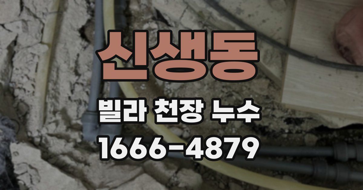 신생동 빌라 천장 누수