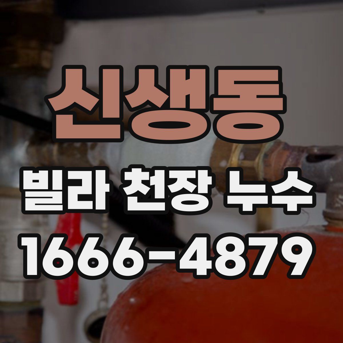 신생동 빌라 천장 누수
