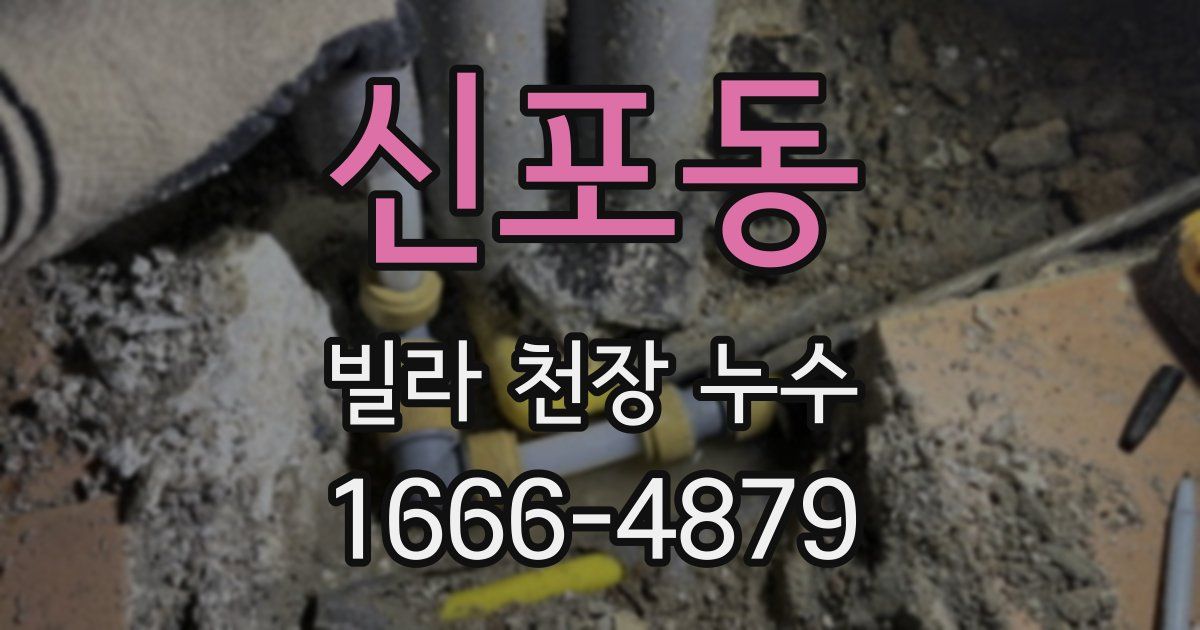 신포동 빌라 천장 누수