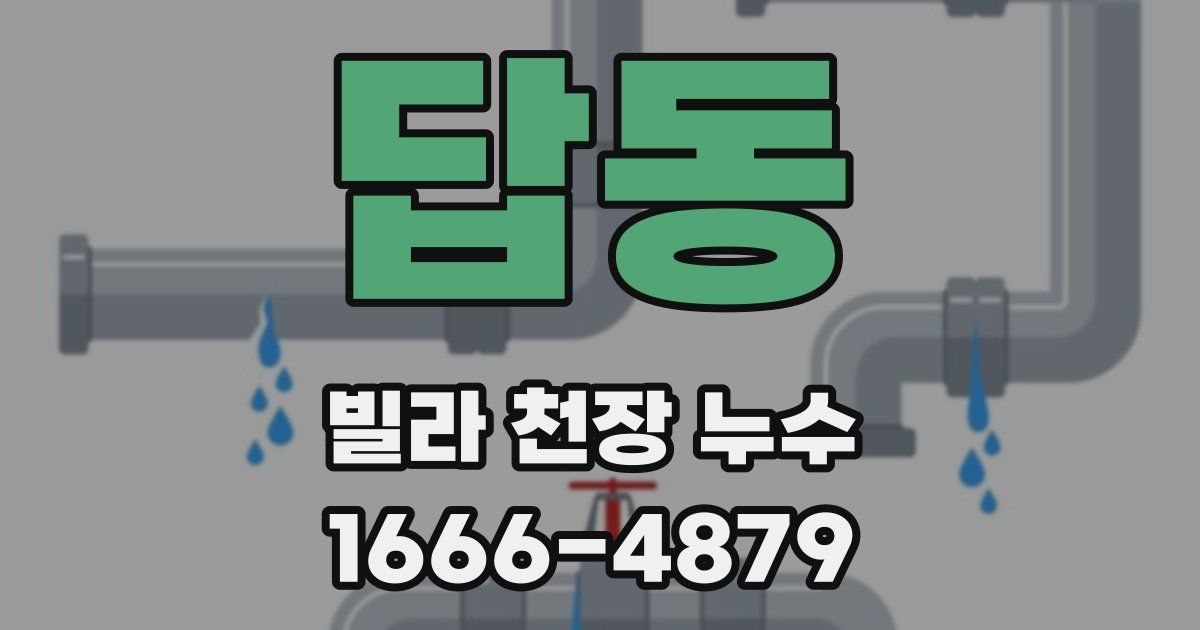 답동 빌라 천장 누수