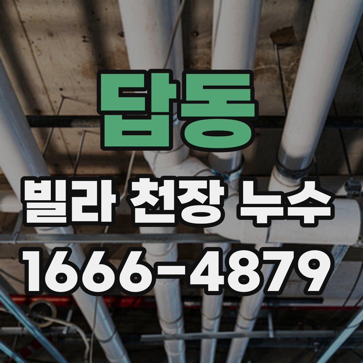 답동 빌라 천장 누수
