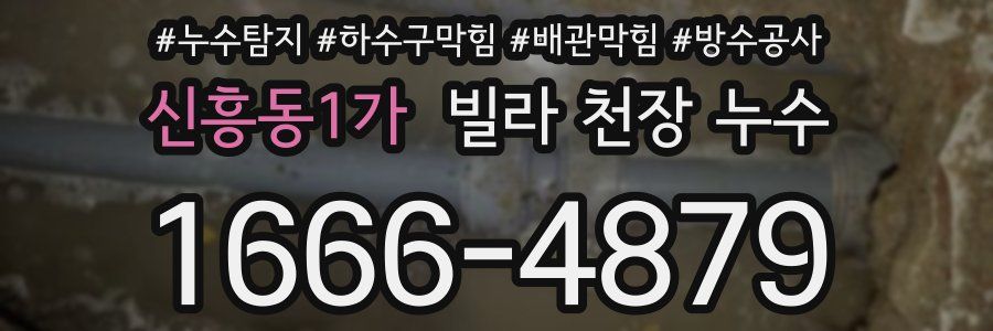 신흥동1가 빌라 천장 누수