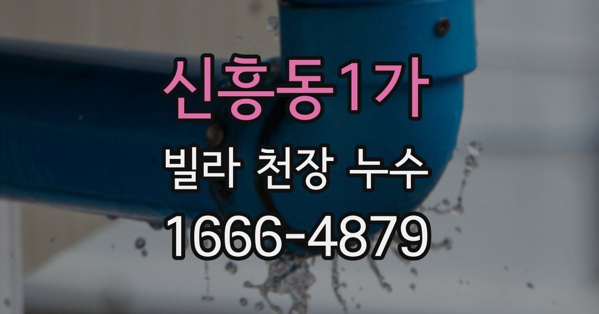 신흥동1가 빌라 천장 누수