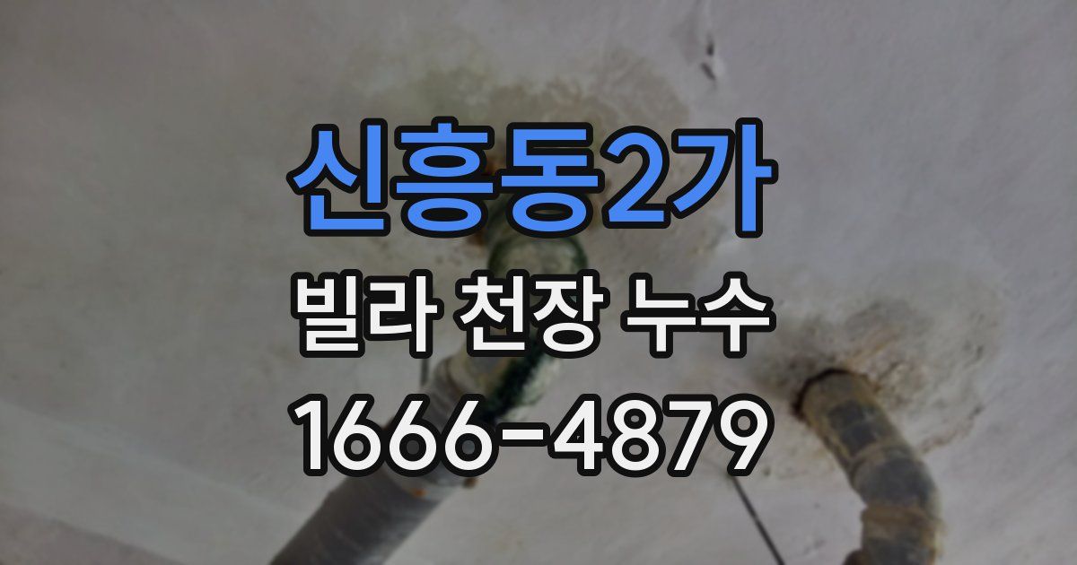 신흥동2가 빌라 천장 누수