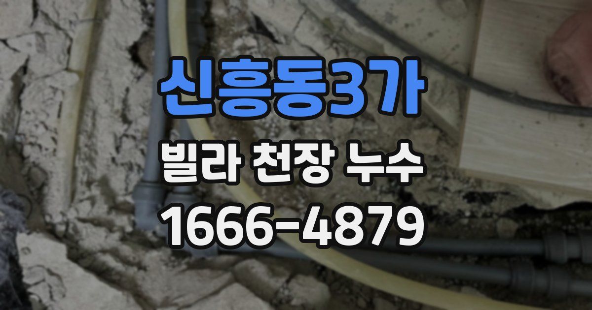 신흥동3가 빌라 천장 누수