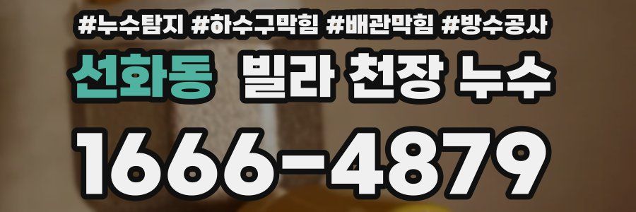선화동 빌라 천장 누수